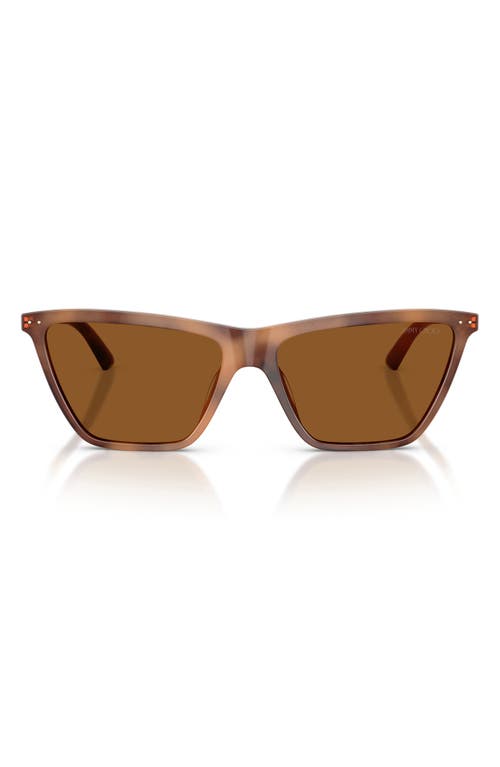 Jimmy Choo 56mm Cat Eye Sunglasses In Tan Havana/dark Brown
