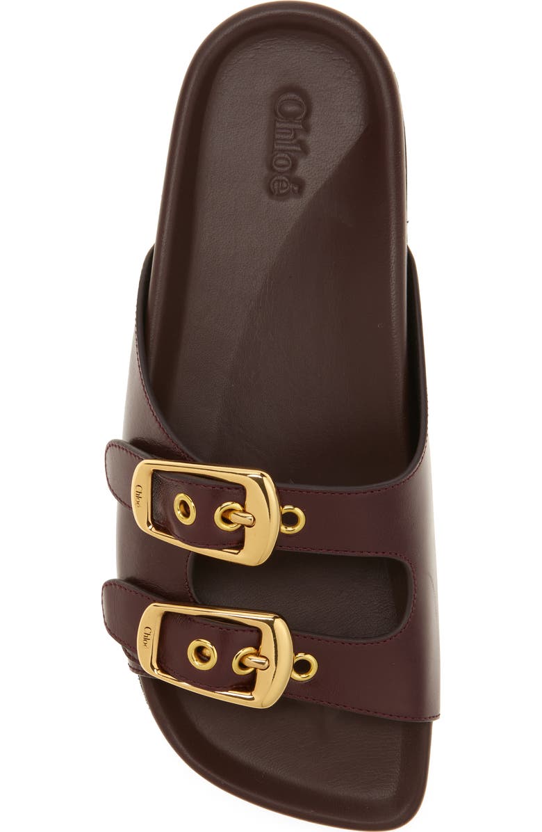 Chloé Polly Double Strap Slide Sandal, Alternate, color, Stormy Red