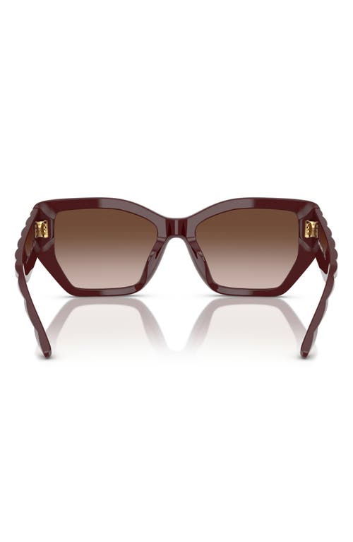 Tory Burch 53mm Irregular Sunglasses In Brown Grad