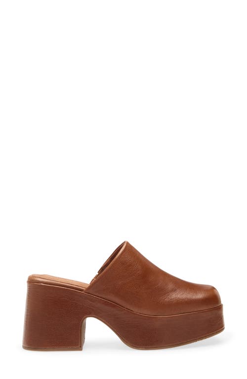 Chocolat Blu Hedia Platform Mule In Brown
