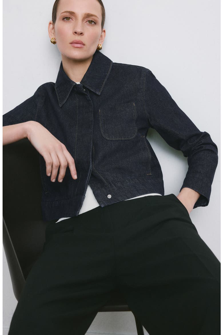 Denim Jacket, Alternate, color, BLUE