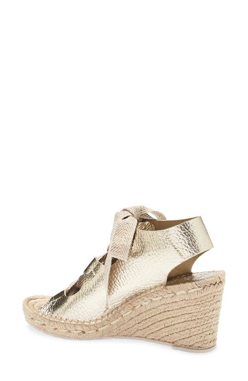 Pedro Garcia Otelia Espadrille Wedge Sandal In Metallic