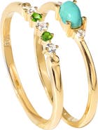 YS GEMS Set of 2 Turquoise Rings