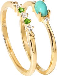 YS GEMS Set of 2 Turquoise Rings