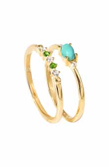 YS GEMS Set of 2 Turquoise Rings