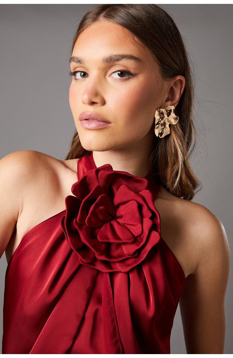 Coast Halter Neck Satin Maxi Dress, Alternate, color, Red