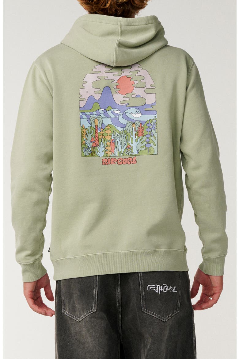 Pacific Rinse Pulllover Hoodie, Alternate, color, SAGE
