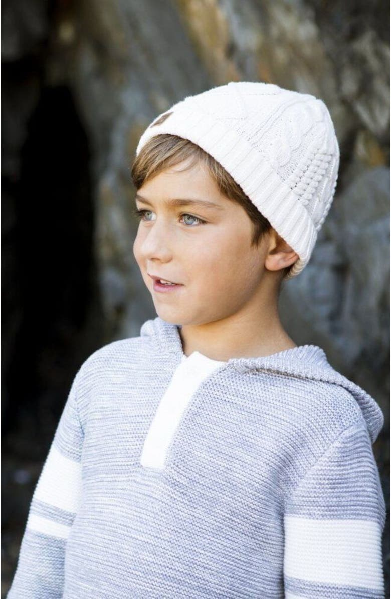 Hope & Henry Baby Boys' Hooded Pullover Sweater, Infant, Alternate, color, Grey