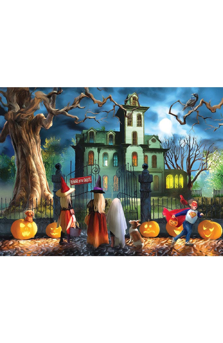 Sunsout Double Dare 500 piece Jigsaw Puzzle for Adults, Alternate, color, 