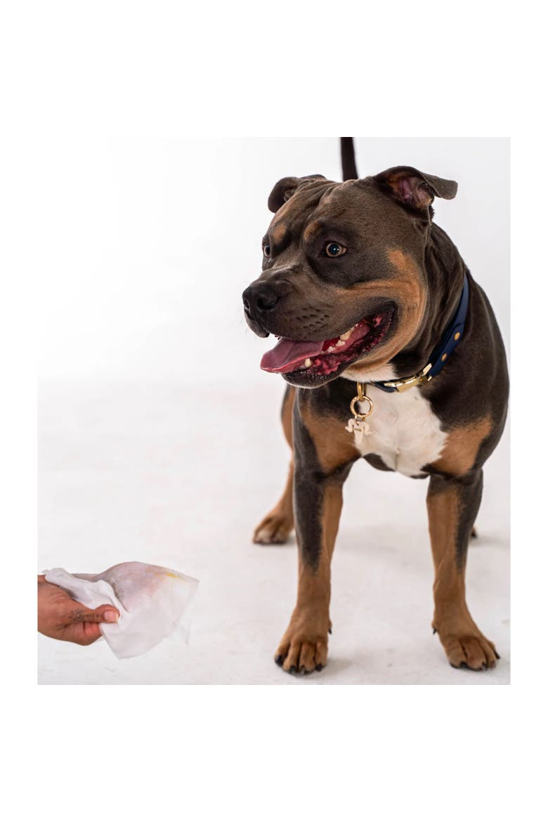 Pet Cleansing Wipes Canister, Aloe Vera & Vitamin E, 200ct, Alternate, color, Multicolored