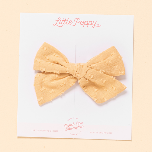 Little Poppy Co The Bow Clip Set In The Capri