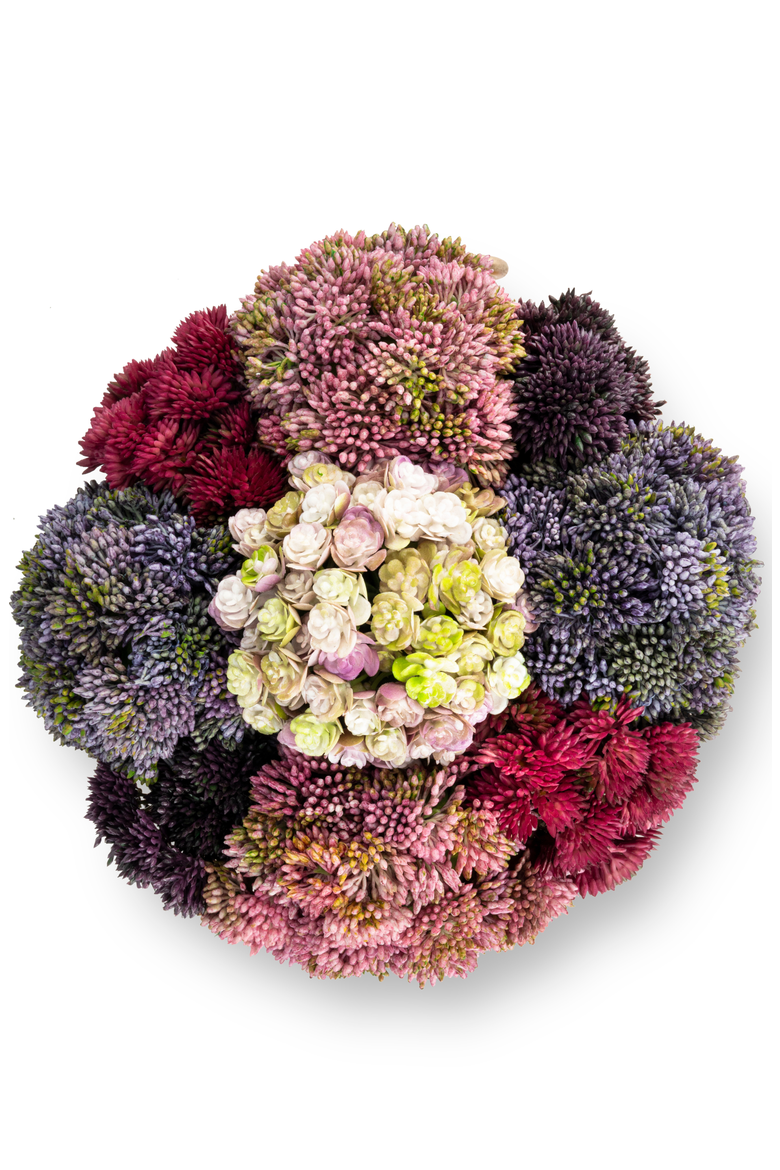 Solene Gold Sedum Arrangement, Alternate, color, Multi-Color