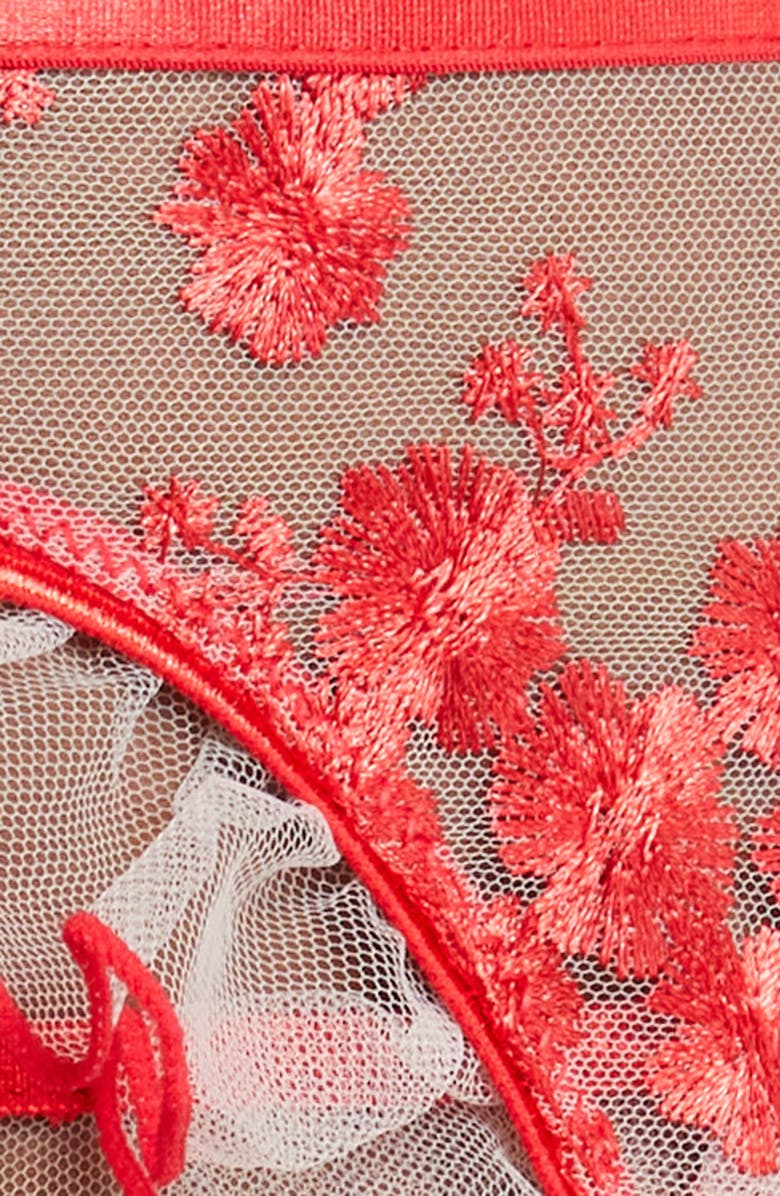 Coquette Embroidered Garter Belt & G-String Set, Alternate, color, Red