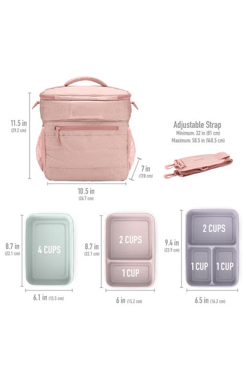 Bentgo 60-piece Meal Prep & Lunch Bag Set In Multi