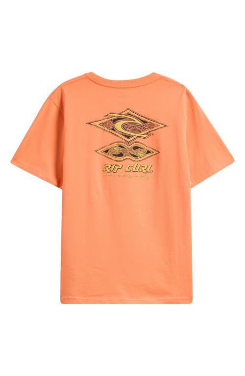 Rip Curl Kids' Raw Energy Dolphin Cotton Graphic Logo T-shirt In Mandarin Zest