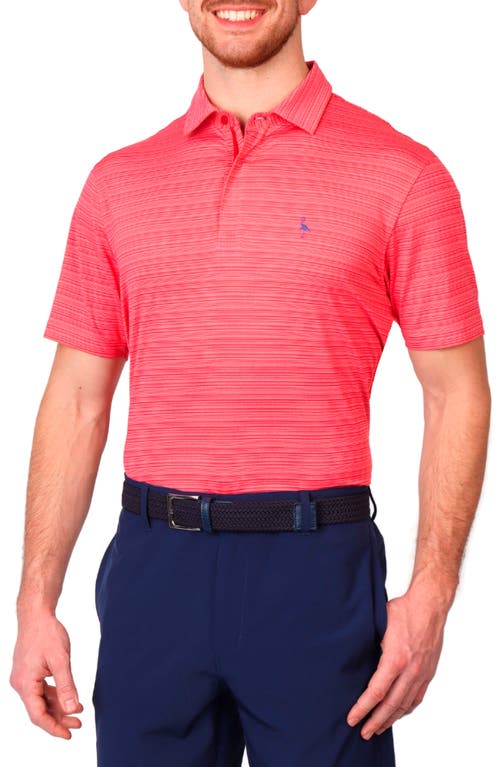 TAILORBYRD TAILORBYRD VARIEGATED STRIPE PERFORMANCE POLO