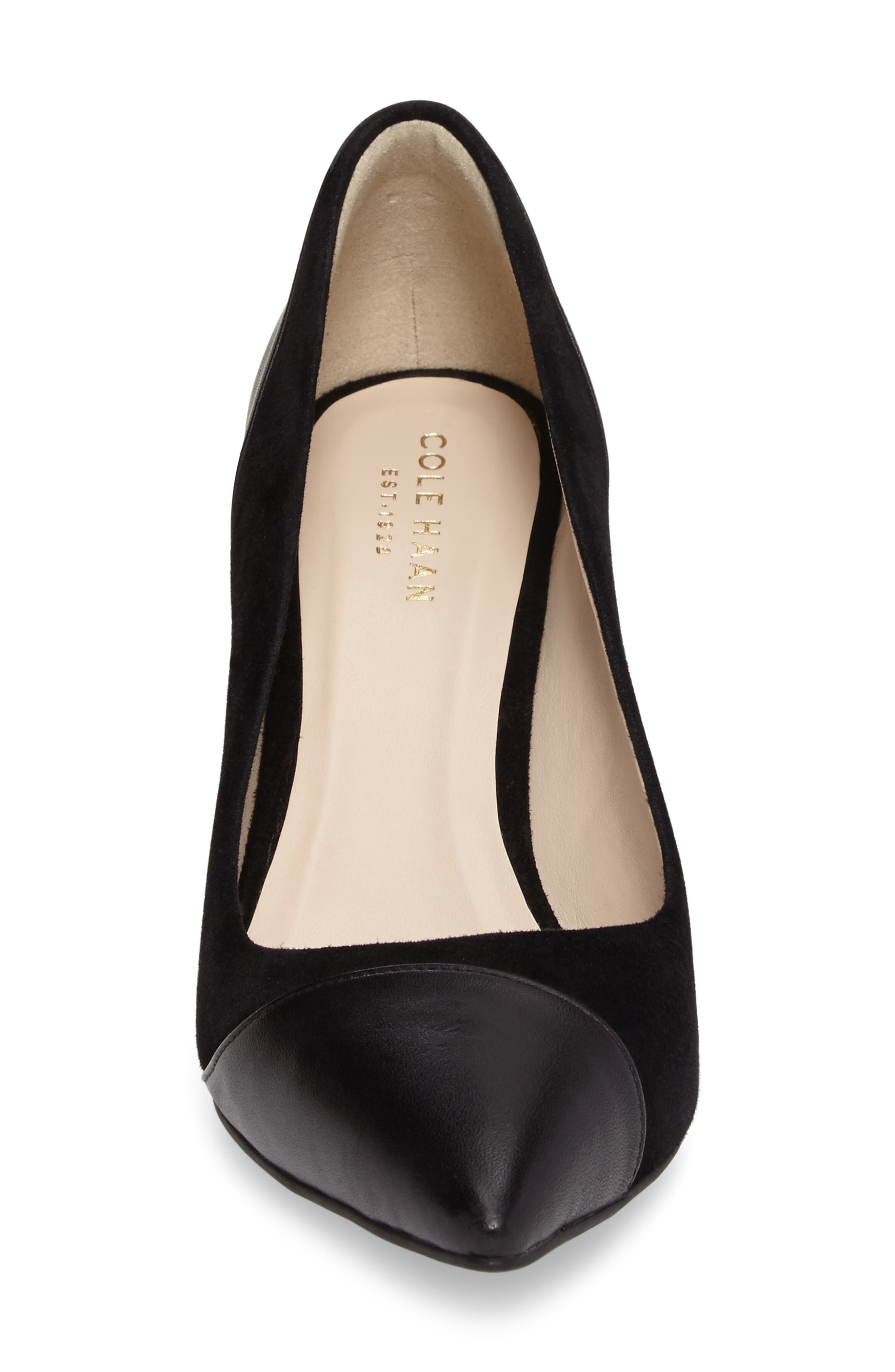 Cole Haan Shayla Pointy Toe Pump, Alternate, color, 