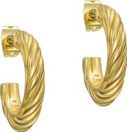 Ted Baker Melanie Twisted Hoop Earrings