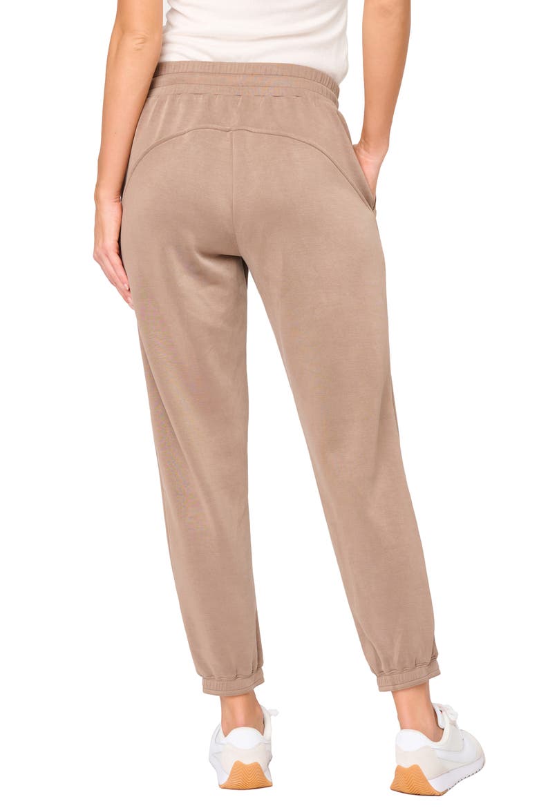 Easy Everywhere Joggers, Alternate, color, DARK TAUPE