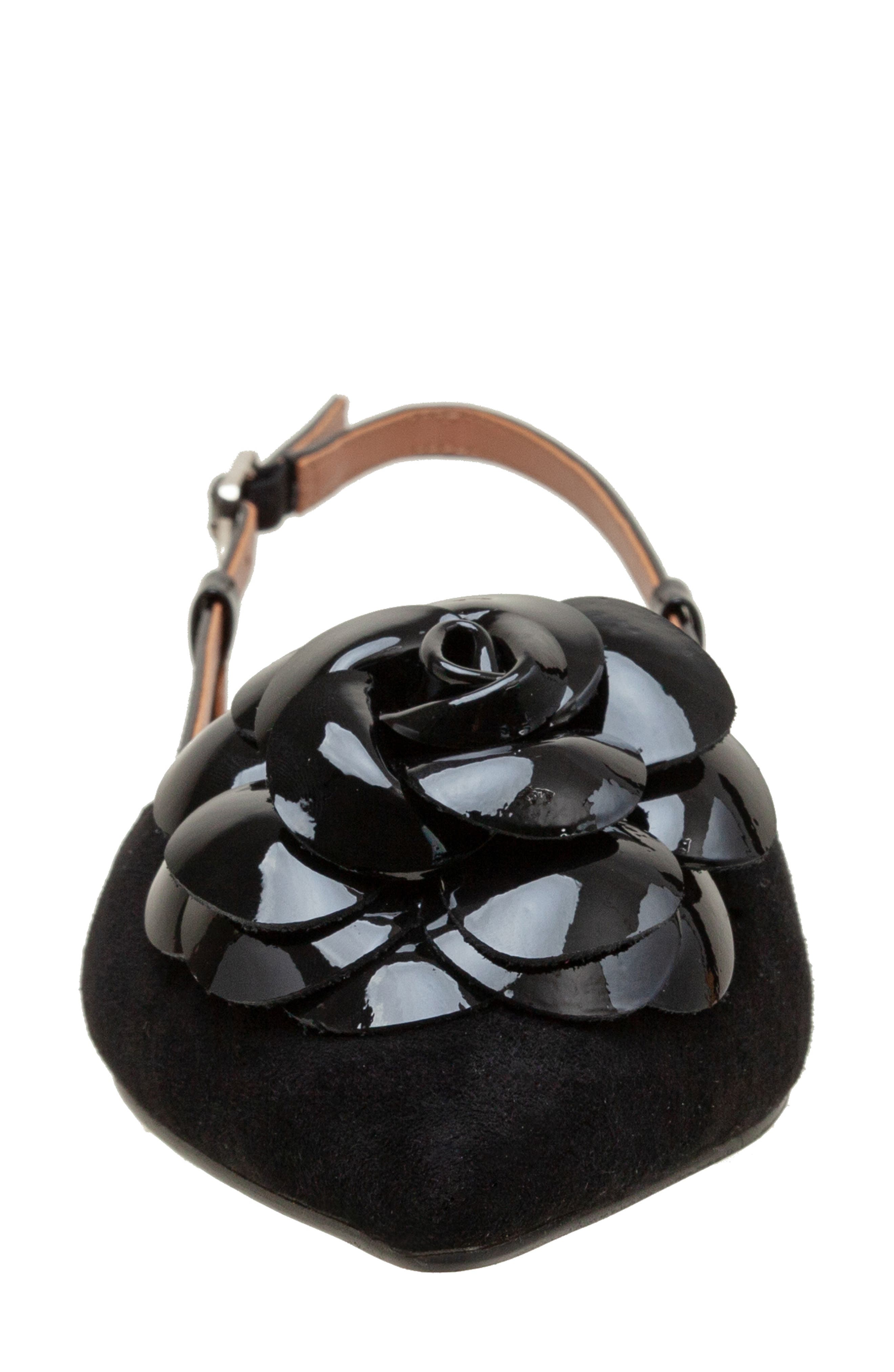 Linea Paolo Cammy Slingback Pointed Toe Flat, Alternate, color, Black Ii