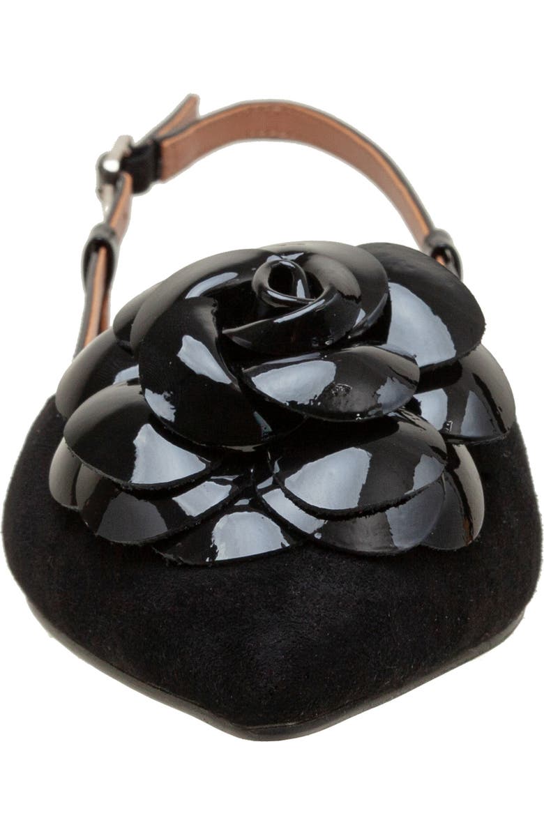 Linea Paolo Cammy Slingback Pointed Toe Flat, Alternate, color, Black Ii