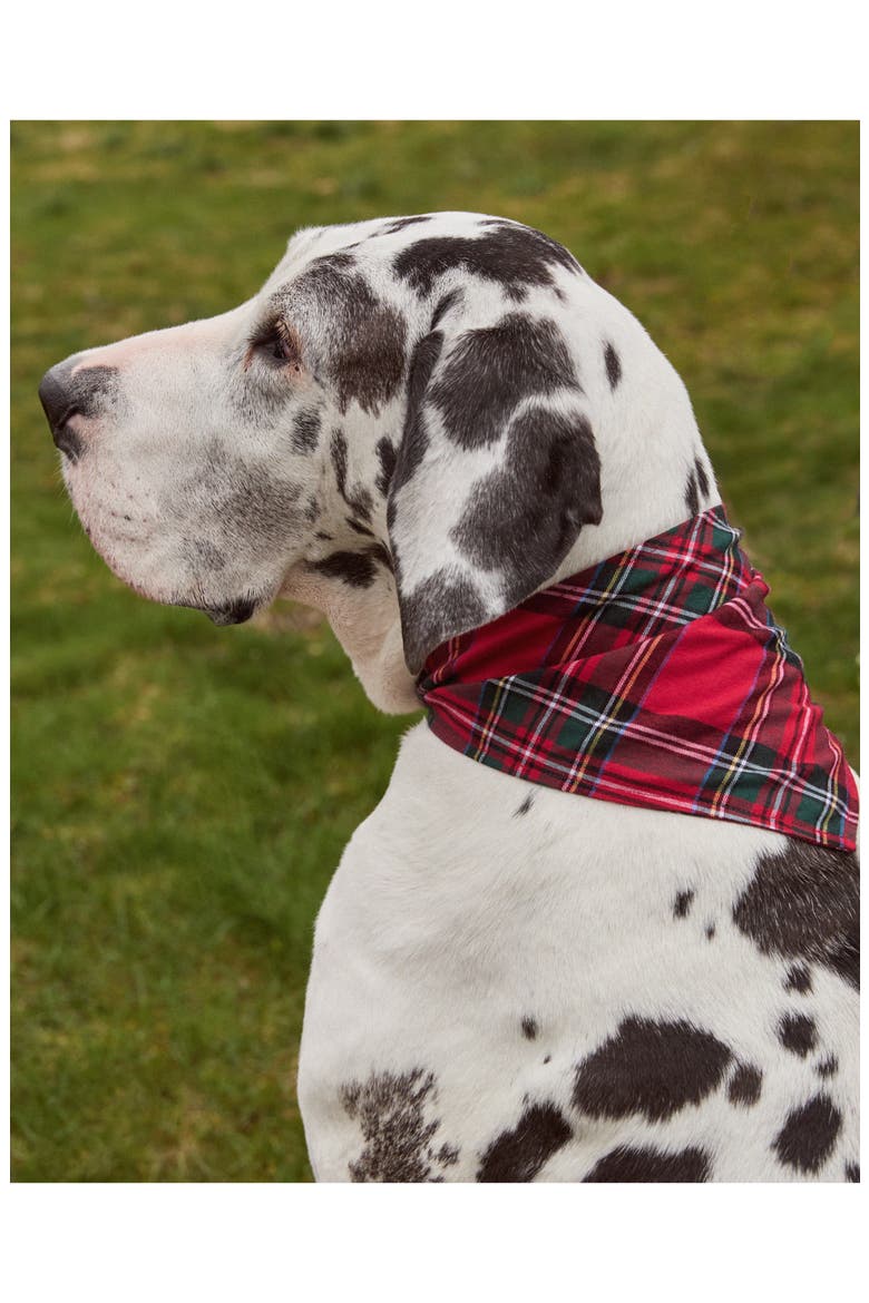 Imperial Tartan Dog Bandana, Alternate, color, RED