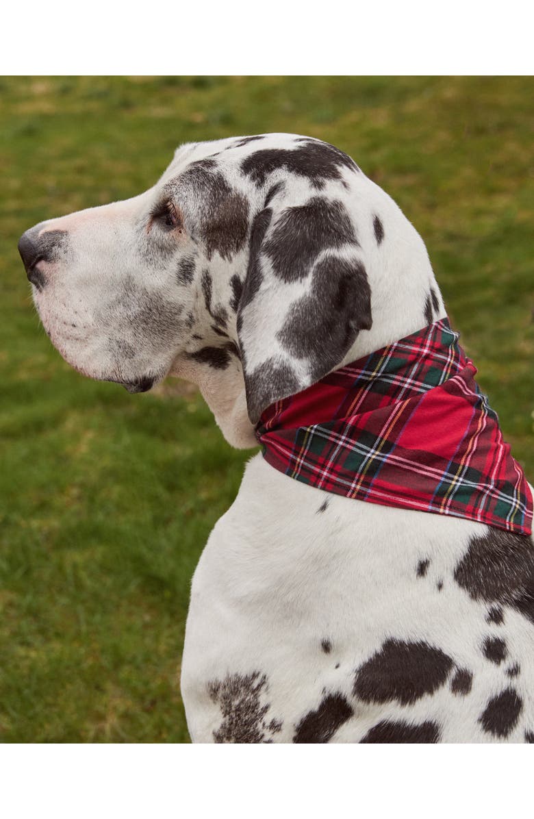 Petite Plume Imperial Tartan Dog Bandana, Alternate, color, Red