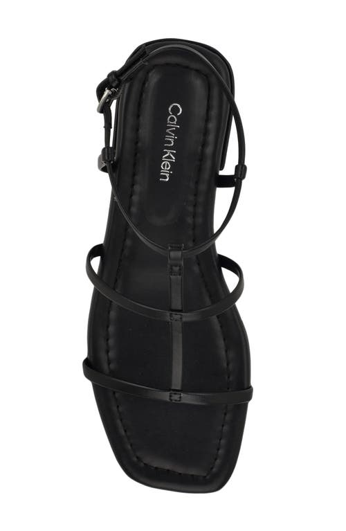Calvin Klein Sallia T-strap Flat Sandal In Black
