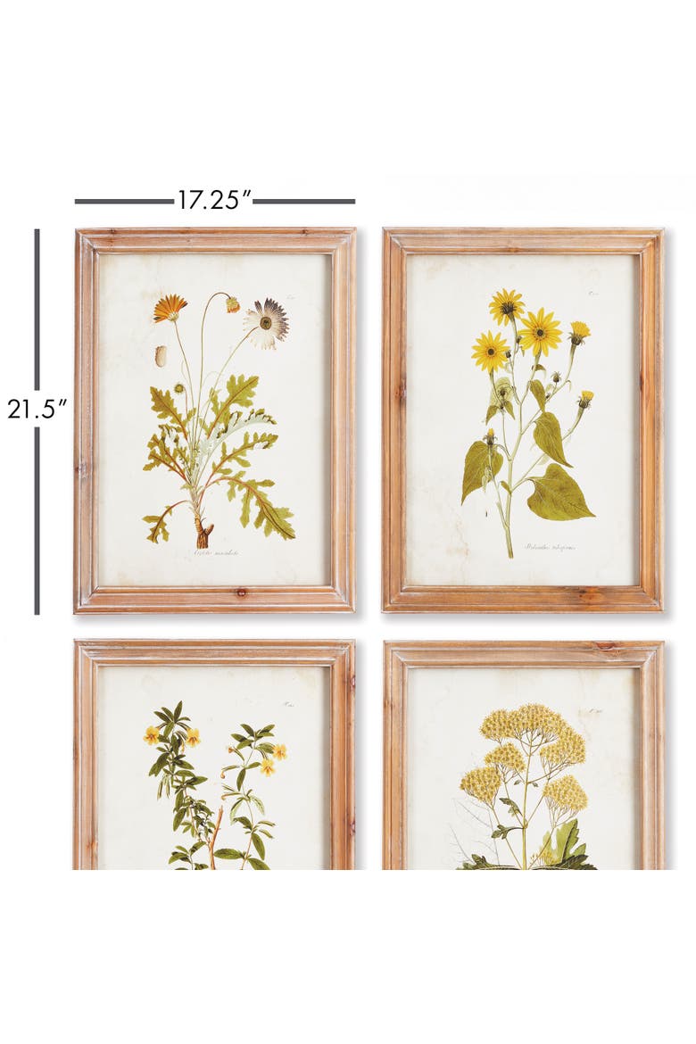 Golden Wildflower Study Set of 4, Alternate, color, Green