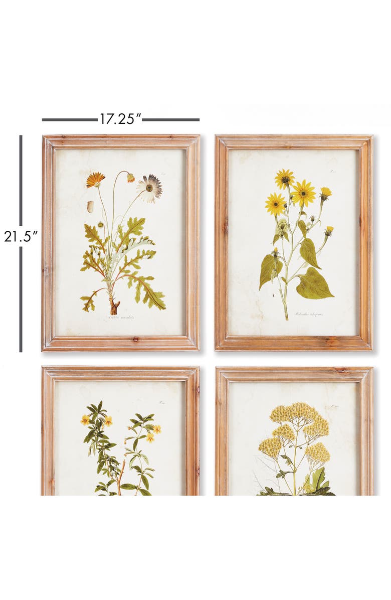 Napa Home & Garden Golden Wildflower Study Set of 4, Alternate, color, 