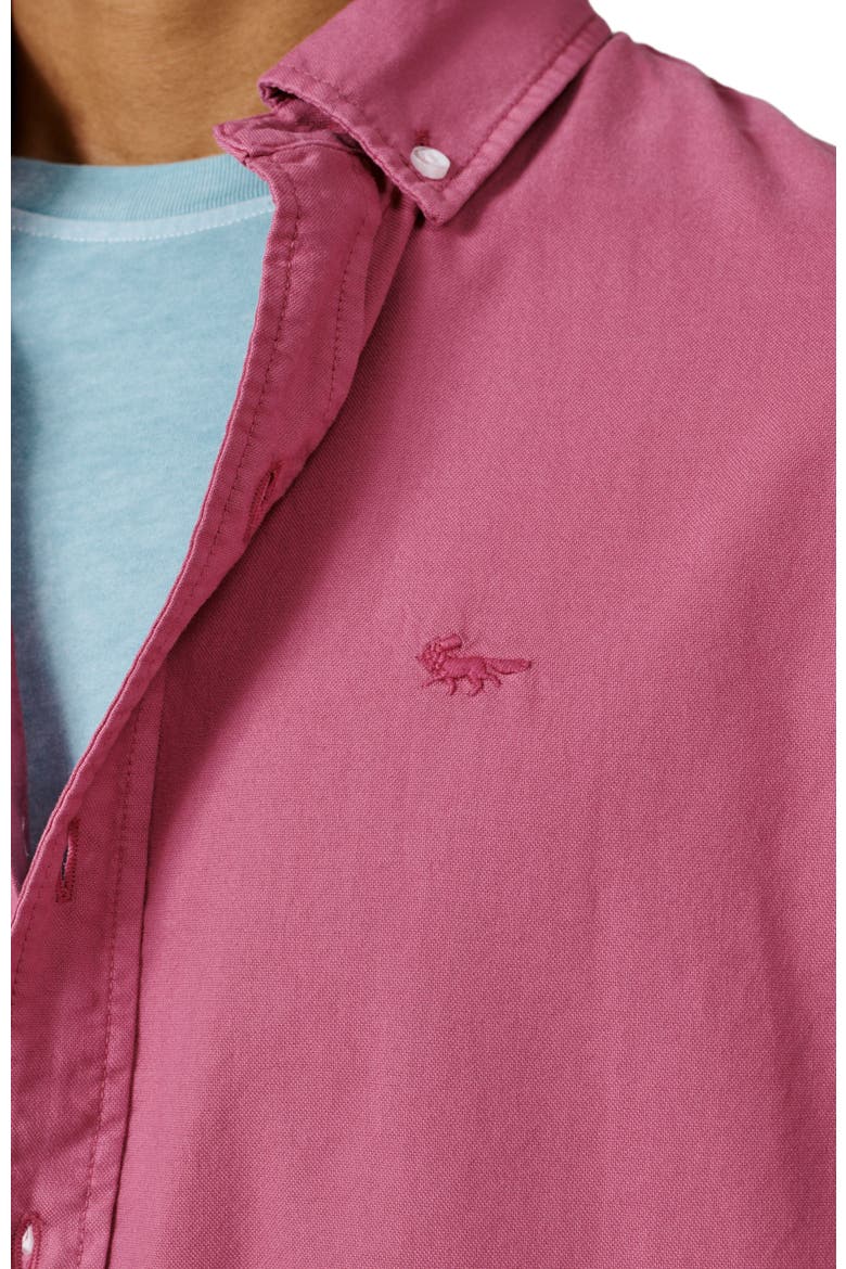 Horkstow Lightweight Oxford Shirt, Alternate, color, Fushia
