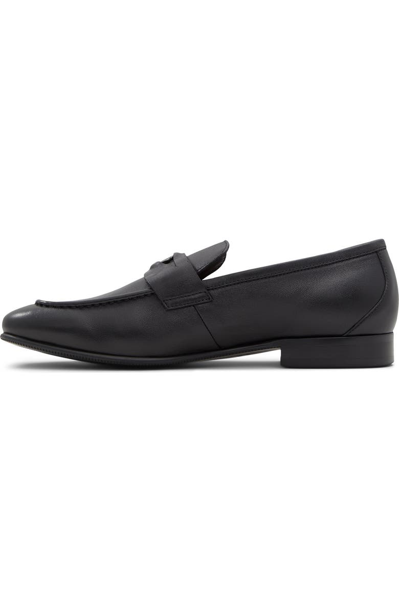 ALDO Esquire Penny Loafer, Alternate, color,