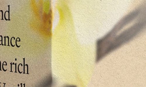 Vitruvi Boost Air Scent Refill In Warm Vanilla