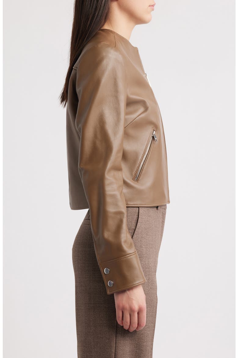 Sadenita Leather Jacket, Alternate, color, OPEN BRN