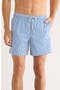 Flamingo Stripe Seersucker Swim Trunks