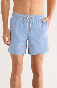 Rainforest Flamingo Stripe Seersucker Swim Trunks