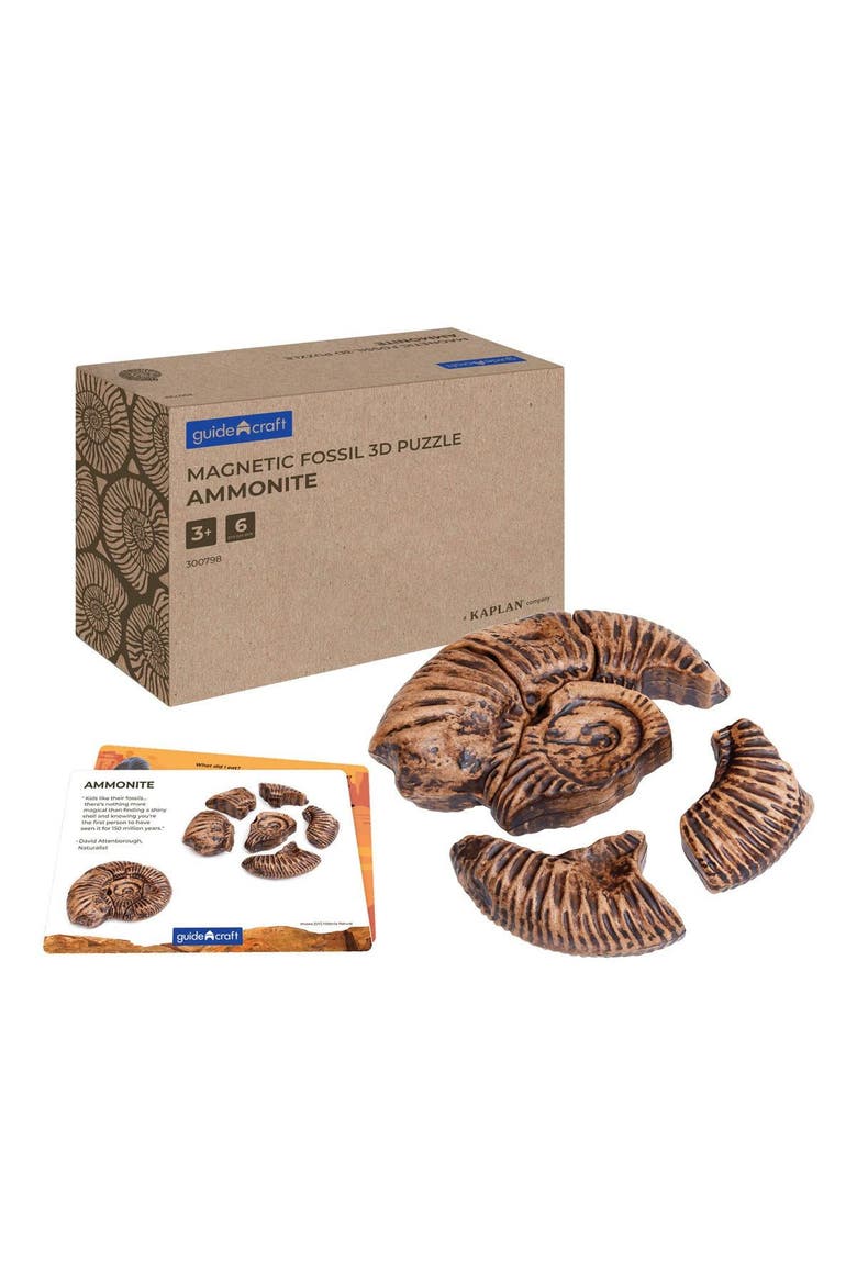 Magnetic Fossil 3D Puzzle - Ammonite - 6 Pieces, Main, color, Brown