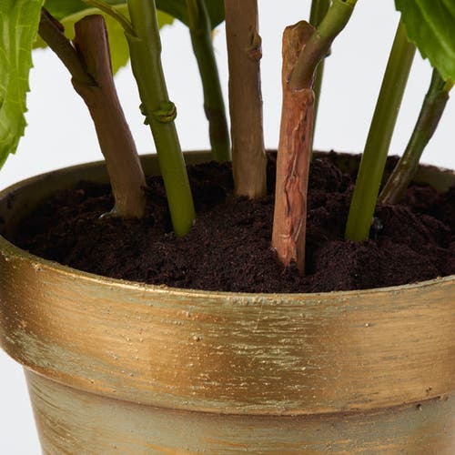 Darby Creek Trading Potted Red Silk Hydrangea Stems Flowering Multi-bloom Plant In Red