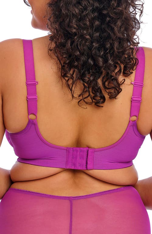 Elomi Matilda Full Figure Underwire Plunge Bra In Purple