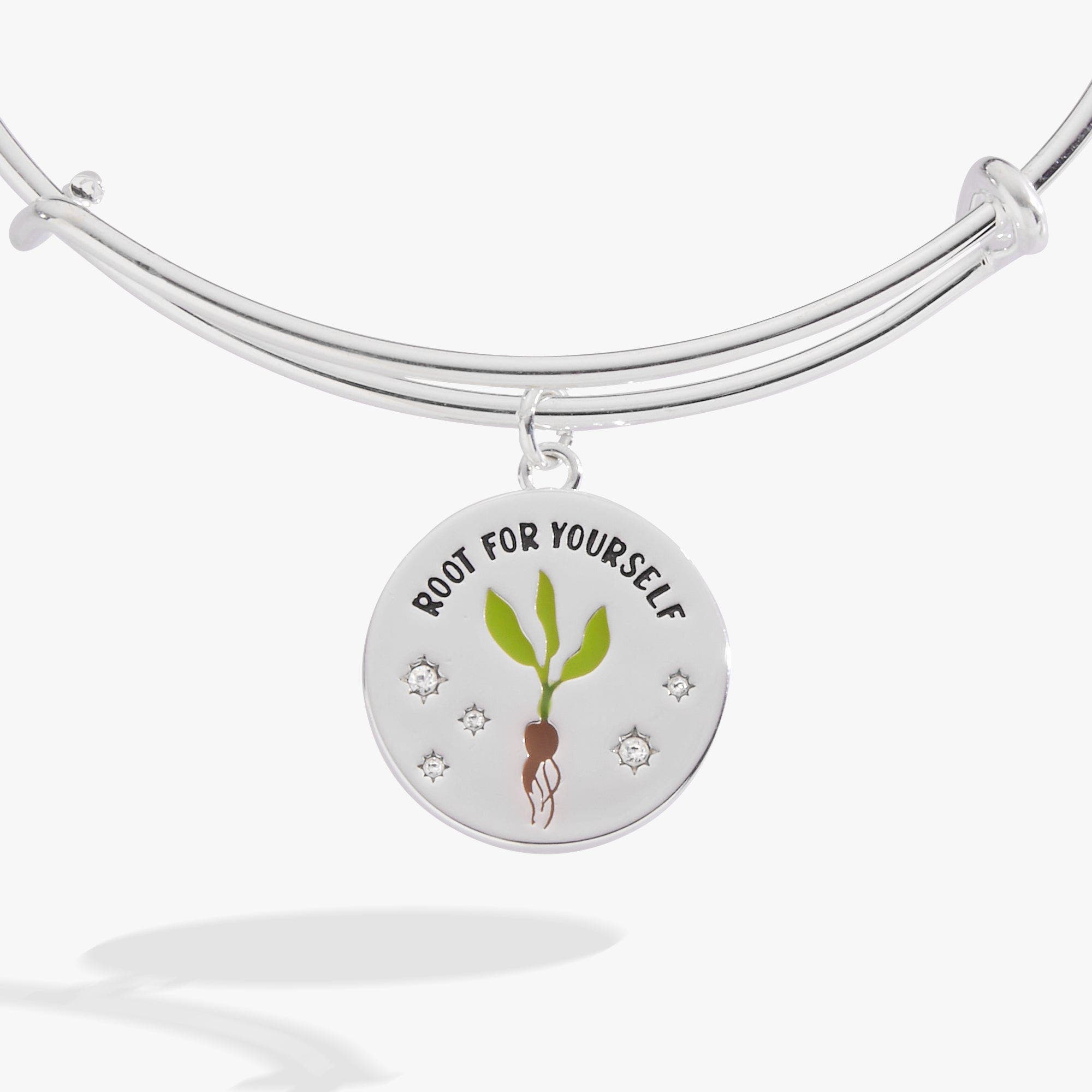 Alex and Ani 