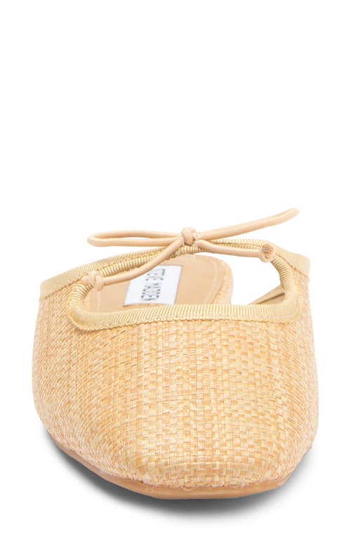 STEVE MADDEN STEVE MADDEN MARCELA BOW MULE 