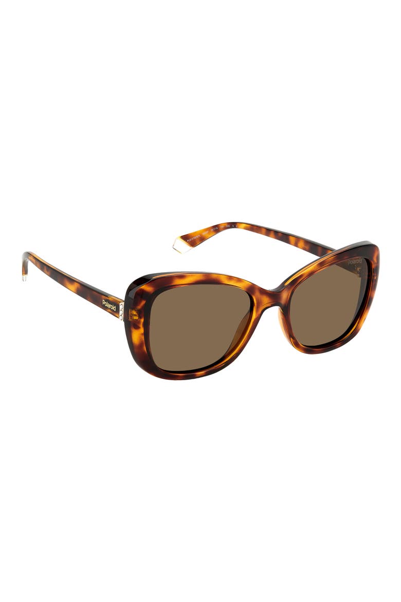 53mm Polarized Cat Eye Sunglasses, Alternate, color, HAVANA/ BRONZE POLAR