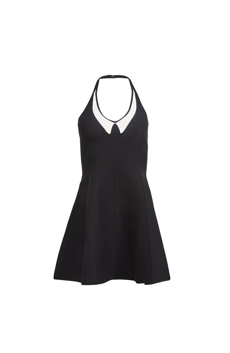 Fleur Du Mal Collier Flared Corset Dress, Alternate, color, Black