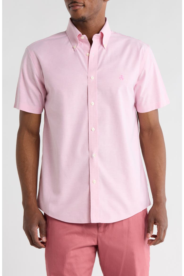 Regular Fit Solid Short Sleeve Non-Iron Stretch Cotton Button-Down Shirt, Main, color, CHATEAUROSESOLID