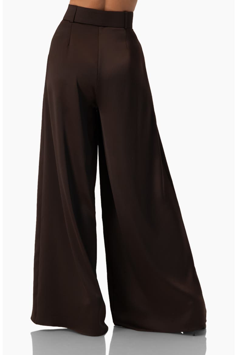 Wide-Leg Satin Trousers, Alternate, color, Brown