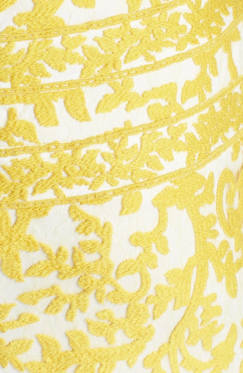 Tadashi Shoji Embroidered Lace Sheath Dress, Alternate, color,