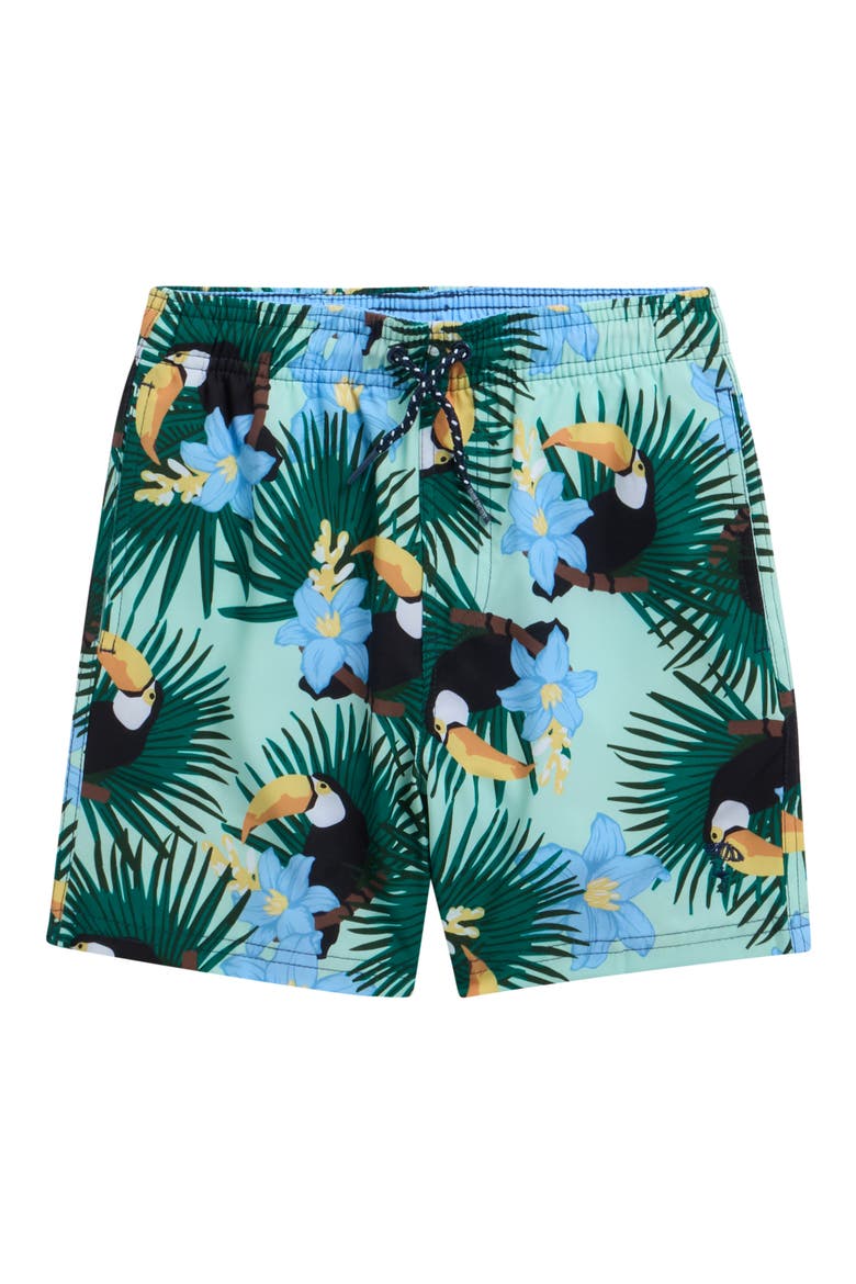 Kids' Swim Trunks, Main, color, MINT MULTI