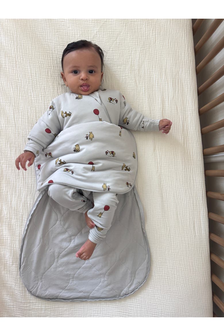 Long Sleeve Transitional Swaddle Sleep Sack - 2.5 T.O.G., Alternate, color, Pooh