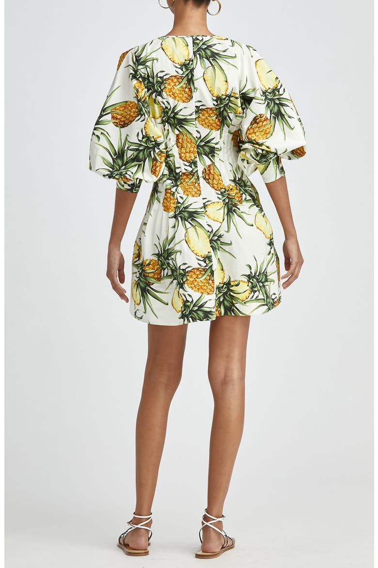 Pineapple A-Line Poplin Dress, Alternate, color, IVORY MULTI