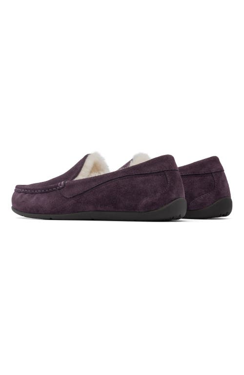 Abeo Amble Slipper In Dark Purple - Regular